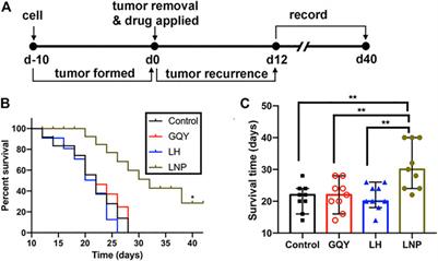 Enhanced Antitumor Activity of Lidocaine Nanoparticles Encapsulated by a Self-Assembling Peptide